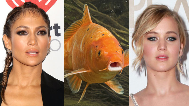 fish lips selfie collage