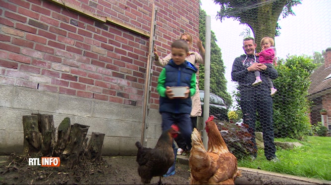 Avoir Des Poules Chez Soi Jean Luc Et Sa Famille Ny Voient Que Des